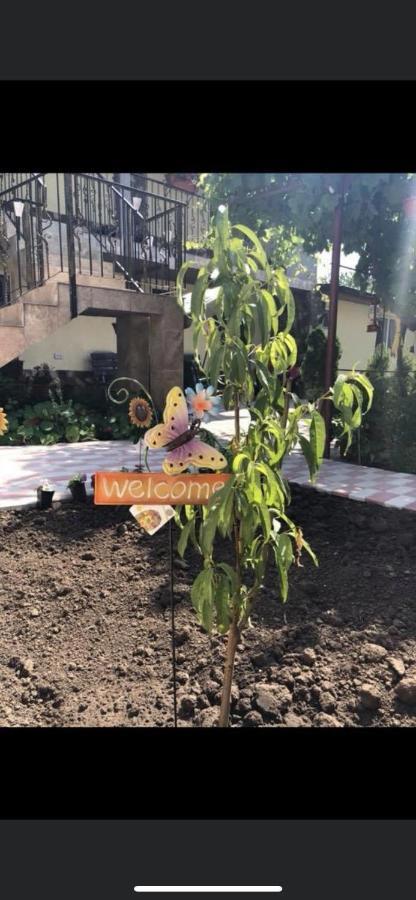 Vila Vlad Două Mai Екстериор снимка