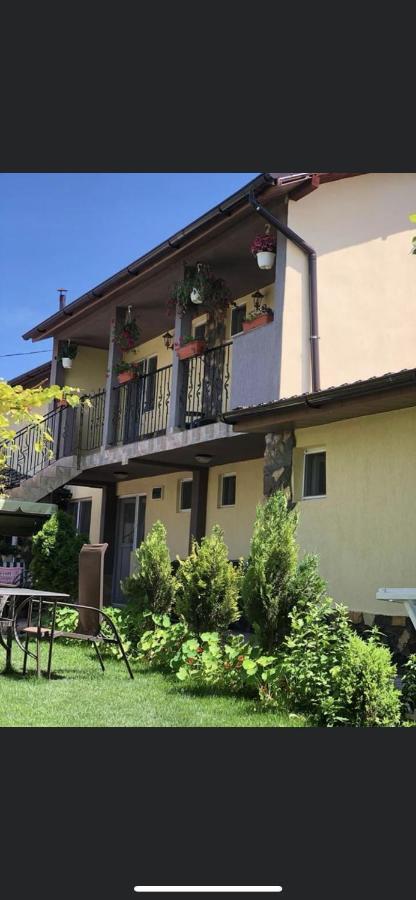 Vila Vlad Două Mai Екстериор снимка